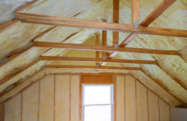 Best Affordable Insulation Services  in Orange City, FL