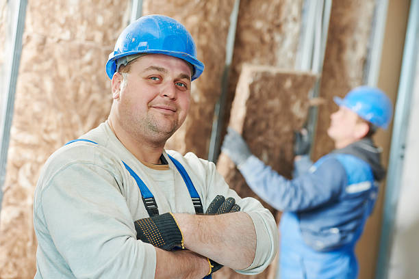 Best Insulation Inspection Services  in Orange City, FL